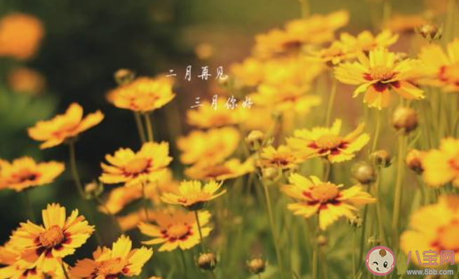 2月最后一天的心情句子 2020二月再見了的心情文案說說 2月最后一天的心情句子 2020二月再見了的心情文案說說