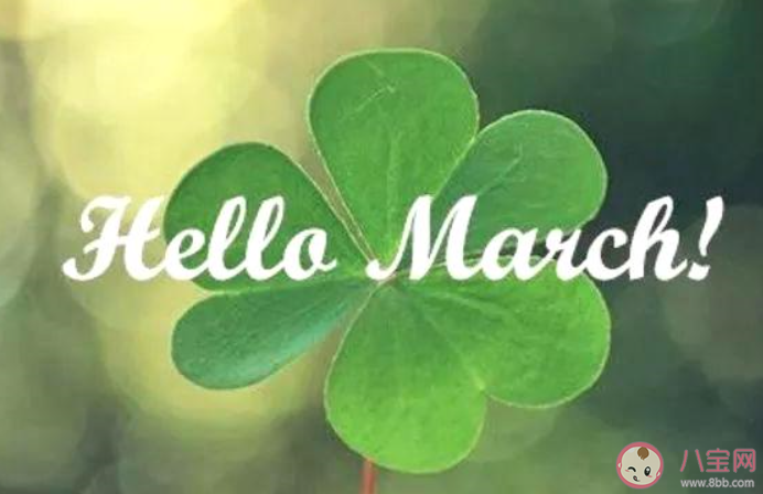 四年一次2月29日的心情文案句子 2月29日的創意文案說說大全 四年一次2月29日的心情文案句子 2月29日的創意文案說說大全