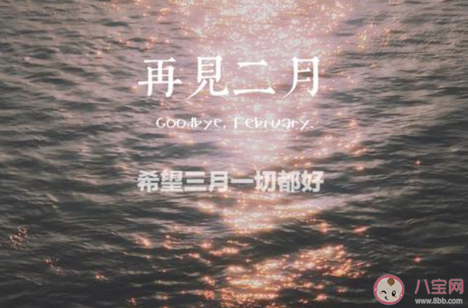 四年一次2月29日的心情文案句子 2月29日的創意文案說說大全 四年一次2月29日的心情文案句子 2月29日的創意文案說說大全