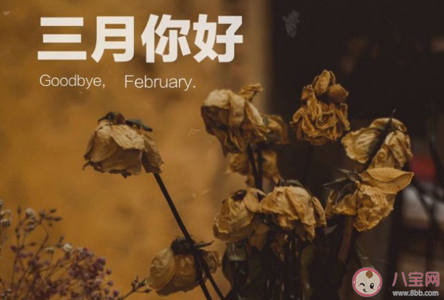 四年一次2月29日的心情文案句子 2月29日的創意文案說說大全 四年一次2月29日的心情文案句子 2月29日的創意文案說說大全