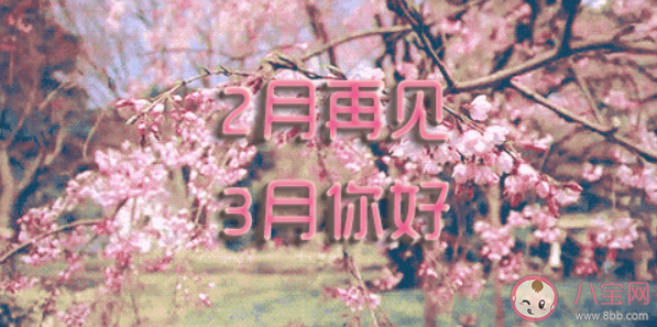 2020二月再見三月你好說說配圖句子 二月再見三月你好的正能量勵志說說圖片大全 2020二月再見三月你好說說配圖句子 二月再見三月你好的正能量勵志說說圖片大全