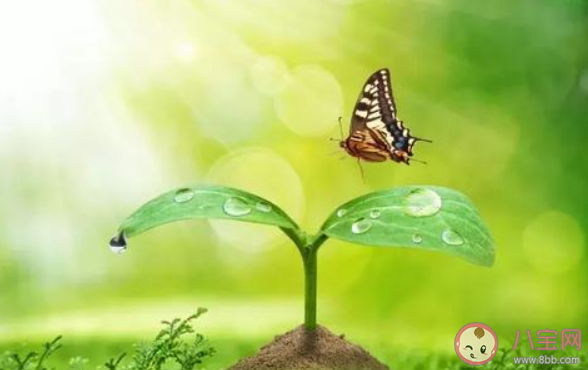 2020二月再見三月你好說說配圖句子 二月再見三月你好的正能量勵志說說圖片大全 2020二月再見三月你好說說配圖句子 二月再見三月你好的正能量勵志說說圖片大全