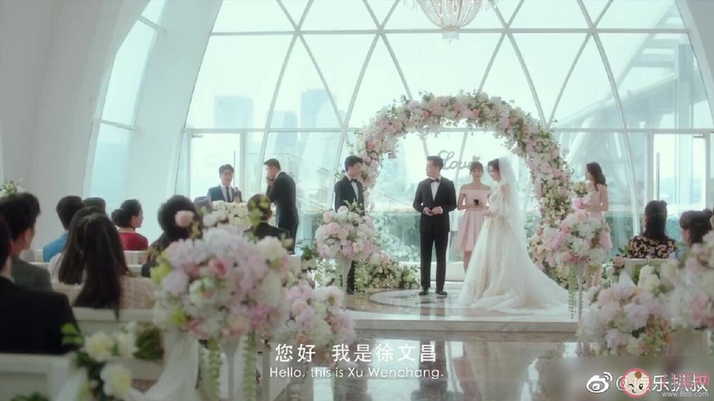 安家張乘乘和徐文昌復婚了嗎 徐文昌最后是不是跟張乘乘在一起了