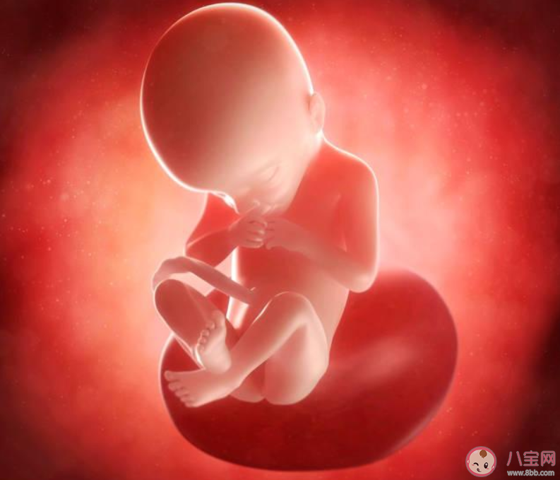 孩子在媽媽肚子里有哪些特征是定型了 在媽媽肚子里定型的幾大特征 孩子在媽媽肚子里有哪些特征是定型了 在媽媽肚子里定型的幾大特征