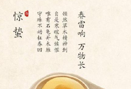 小學驚蟄手抄報圖片大全 簡單驚蟄手抄報畫法