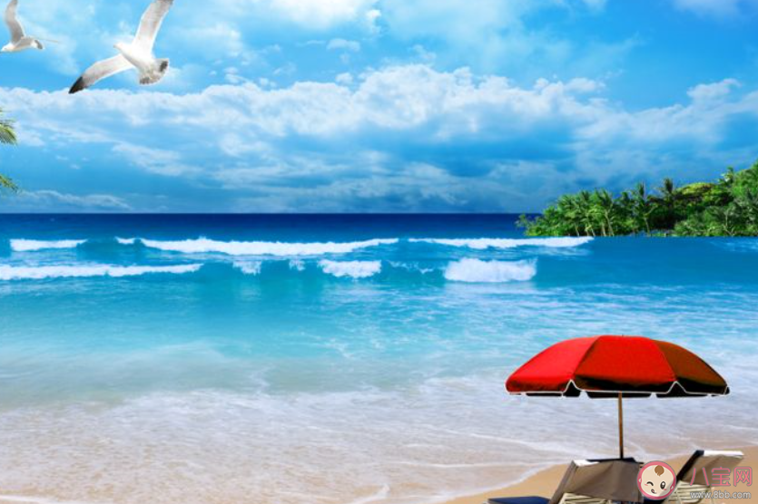 關(guān)于曬海邊照片的朋友圈文案說說 去海邊了發(fā)朋友圈的說說句子