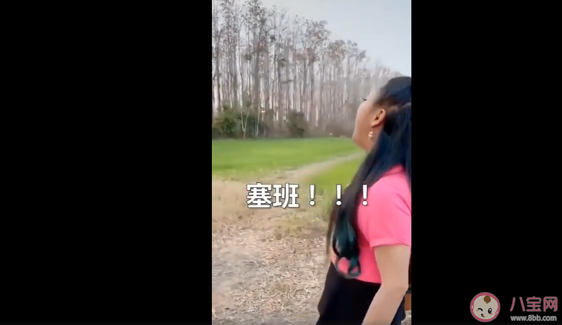 找塞班是什么梗 找塞班是什么意思 找塞班是什么梗 找塞班是什么意思