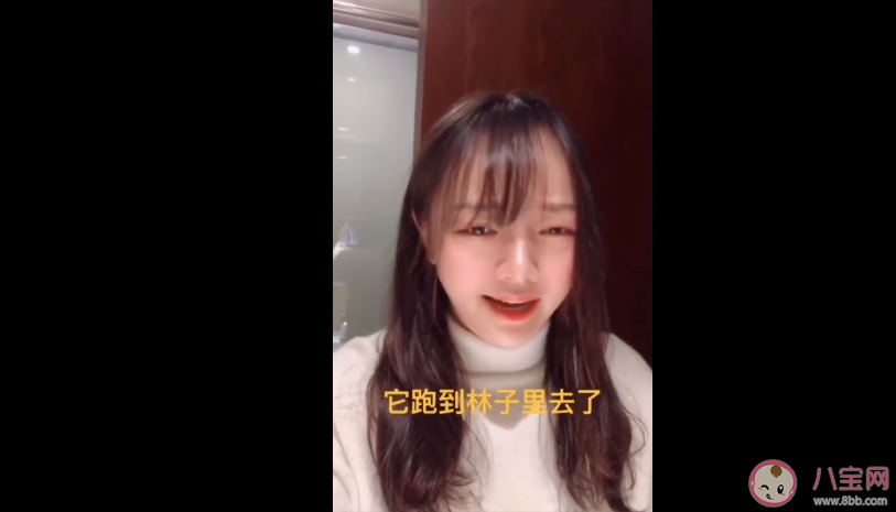 找塞班是什么梗 找塞班是什么意思 找塞班是什么梗 找塞班是什么意思