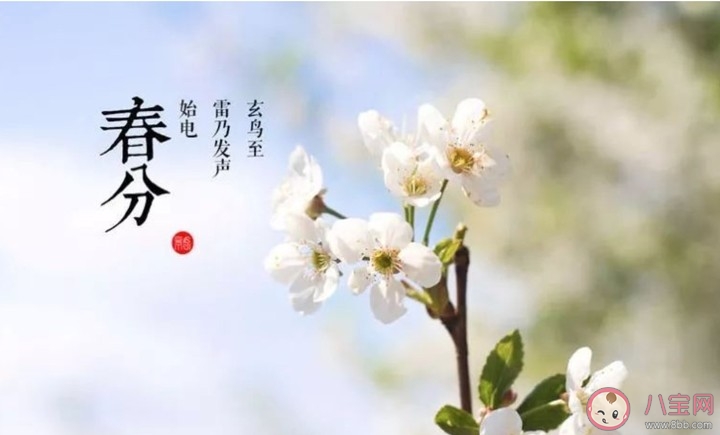 2020春分節氣微信文案說說 春分節氣發朋友圈句子