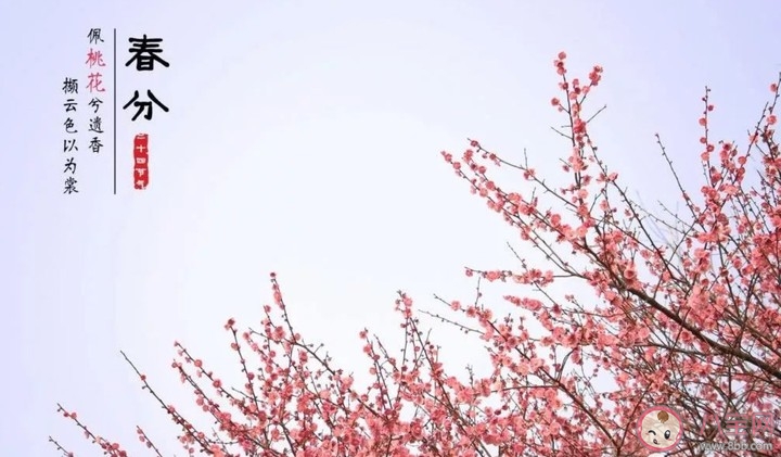 2020春分節氣微信文案說說 春分節氣發朋友圈句子