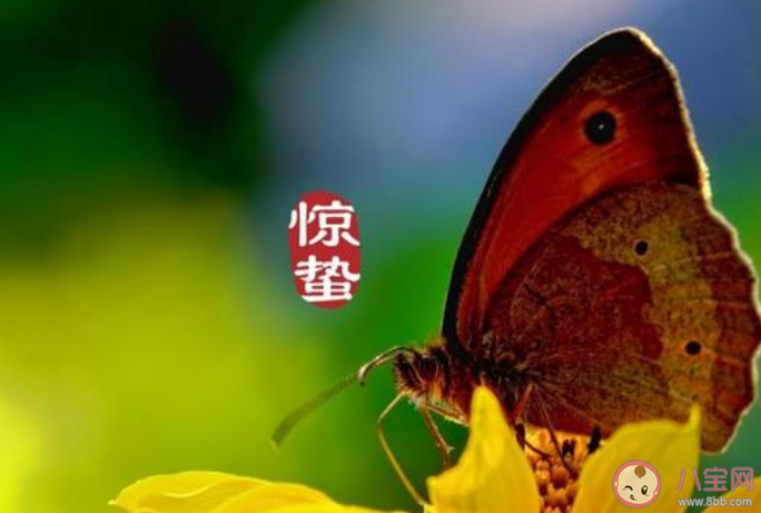 適合驚蟄節(jié)氣發(fā)朋友圈文案說說2021 驚蟄節(jié)氣的朋友圈說說文案 適合驚蟄節(jié)氣發(fā)朋友圈文案說說2021 驚蟄節(jié)氣的朋友圈說說文案