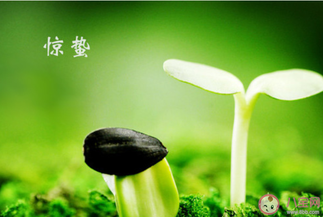 適合驚蟄節(jié)氣發(fā)朋友圈文案說說2021 驚蟄節(jié)氣的朋友圈說說文案 適合驚蟄節(jié)氣發(fā)朋友圈文案說說2021 驚蟄節(jié)氣的朋友圈說說文案