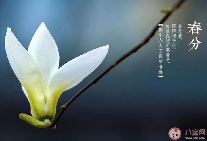 2020今日春分心情文案說說 今日春分發朋友圈唯美句子 2020今日春分心情文案說說 今日春分發朋友圈唯美句子