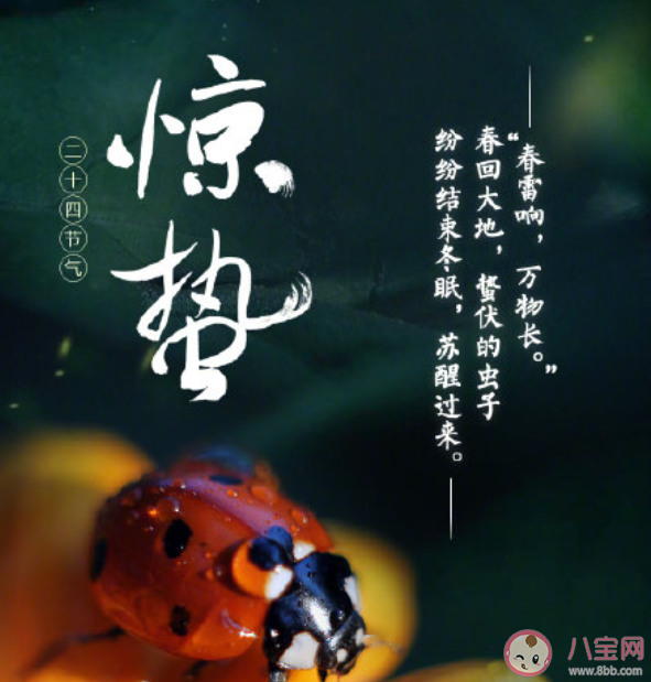 微雨眾卉新一雷驚蟄始是什么意思 微雨眾卉新一雷驚蟄始出自哪首詩 微雨眾卉新一雷驚蟄始是什么意思 微雨眾卉新一雷驚蟄始出自哪首詩