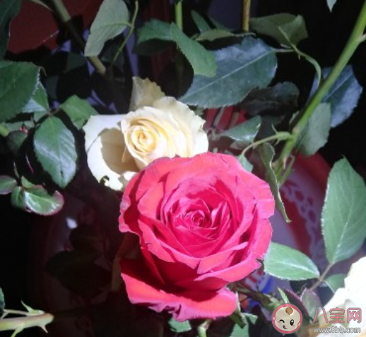 對十八歲的自己說句話你想說什么 一句話致十八歲的自己