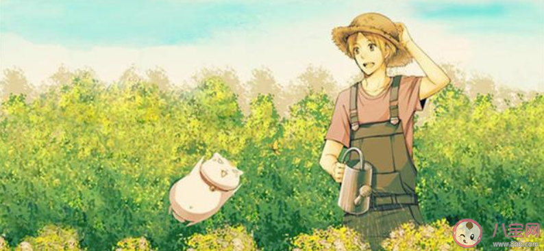 和溫柔的人相處是種什么體驗 和溫柔的人相處舒服嗎