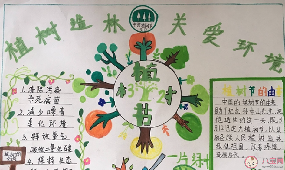 2020植樹節好看簡單的手抄報圖片大全 小學生植樹節有意義的手抄報模板