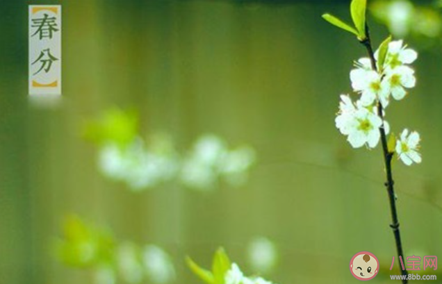 2020春分節(jié)氣的心情句子 2020春分節(jié)氣發(fā)的心情說說