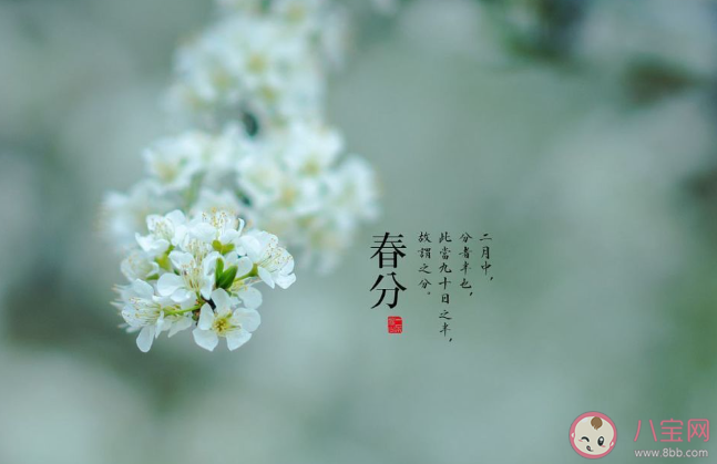 2020春分節(jié)氣的心情句子 2020春分節(jié)氣發(fā)的心情說說