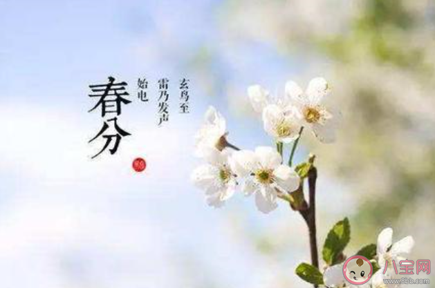 2020春分節(jié)氣的心情句子 2020春分節(jié)氣發(fā)的心情說說