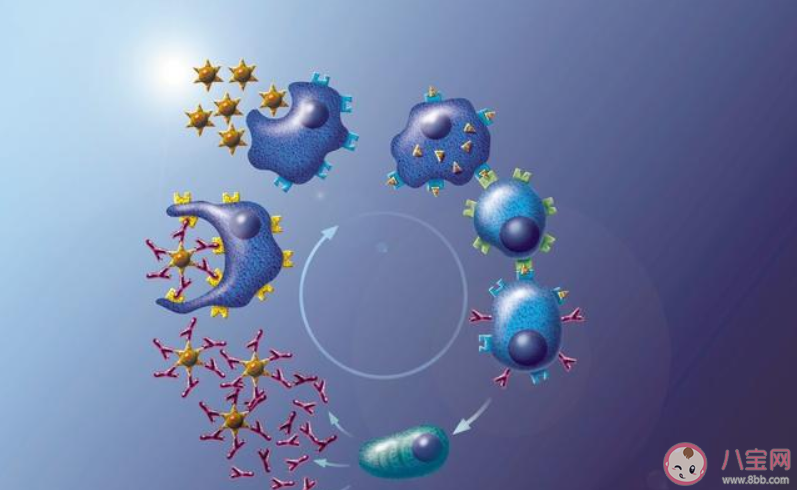 吃保健品能提高免疫力嗎 如何吃才能幫助人們提高免疫力