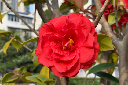 2020三月再見四月你好朋友圈文案 三月再見四月你好說說句子