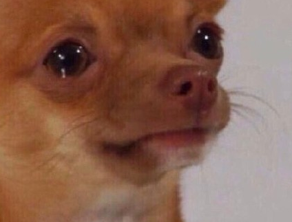 2020四月對我好一點心情說說 4月對我好一點心情句子