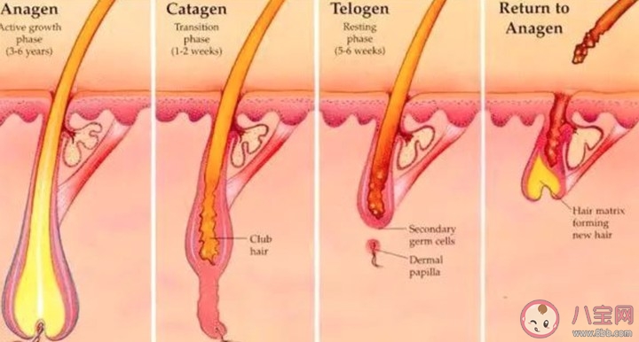 激光脫唇毛多少錢 激光脫唇毛能保持幾年 激光脫唇毛多少錢 激光脫唇毛能保持幾年