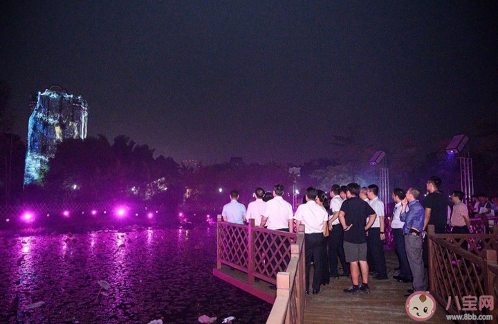 深圳梧桐山現在開放了嗎 2020深圳觀瀾版畫村怎么預約，