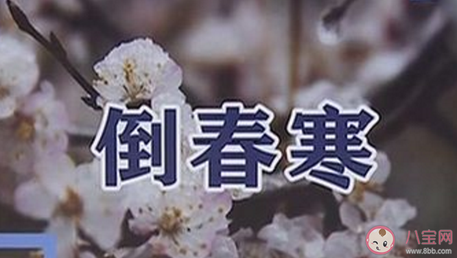 倒春寒一般是什么時候 2020有倒春寒嗎 倒春寒一般是什么時候 2020有倒春寒嗎