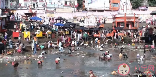 印度村民住樹上隔離怎么回事 印度為什么沒有大的疫情報道 印度村民住樹上隔離怎么回事 印度為什么沒有大的疫情報道