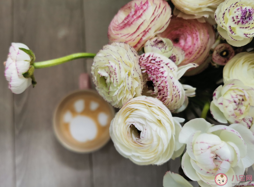 戴口罩上班心情句子 上班戴口罩心情感慨朋友圈 戴口罩上班心情句子 上班戴口罩心情感慨朋友圈