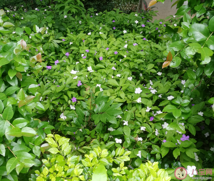 期待不用戴口罩的句子心情 期待不用戴口罩說說朋友圈 期待不用戴口罩的句子心情 期待不用戴口罩說說朋友圈