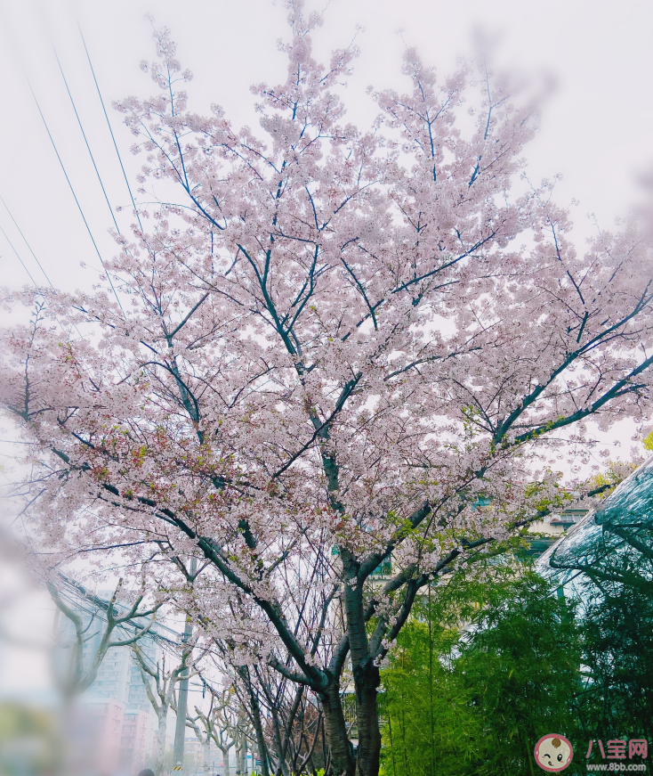 期待不用戴口罩的句子心情 期待不用戴口罩說說朋友圈 期待不用戴口罩的句子心情 期待不用戴口罩說說朋友圈