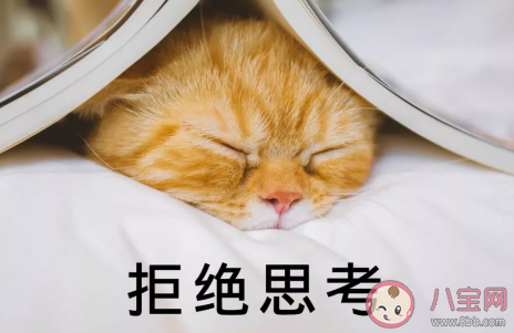 因為名字而被取的外號有哪些 跟名字有關的綽號大全