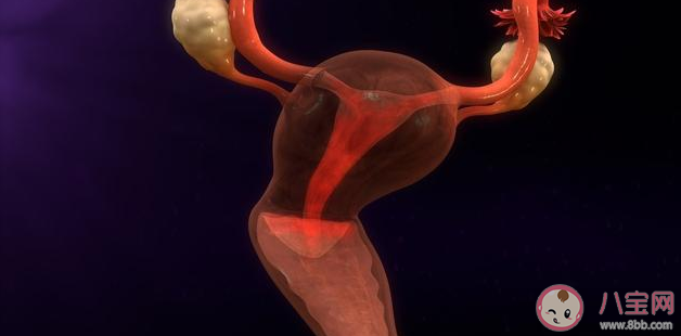 月經停止是懷孕的第一信號嗎 懷孕之后來大姨媽是怎么回事