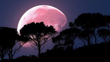 4月8日超級月亮在哪看 4月8日超級月亮出現時間