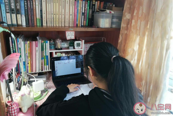 上網課的日子里作文800字 關于上網課的日子里作文5篇 上網課的日子里作文800字 關于上網課的日子里作文5篇