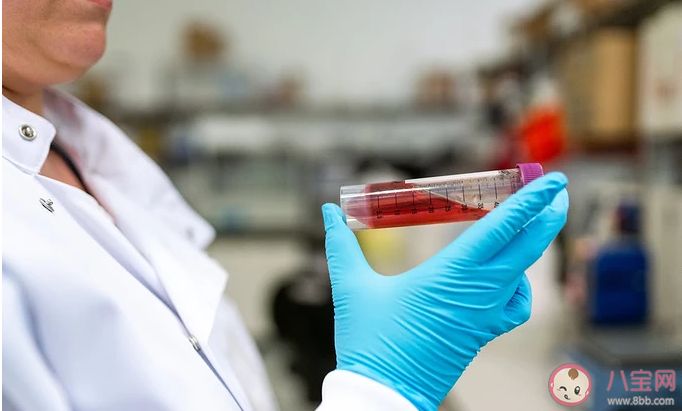 驗孕棒測出兩條還需要去醫院做早孕檢查嗎 早孕檢查方法有哪些 驗孕棒測出兩條還需要去醫院做早孕檢查嗎 早孕檢查方法有哪些