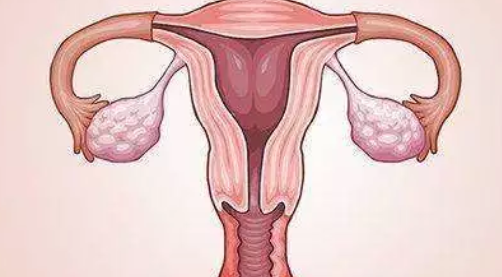 哪些疾病需先治療再備孕 備孕需要先治療的疾病 哪些疾病需先治療再備孕 備孕需要先治療的疾病