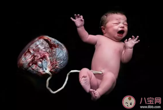 胎盤成熟早容易早產嗎  胎盤早熟還能補鈣嗎