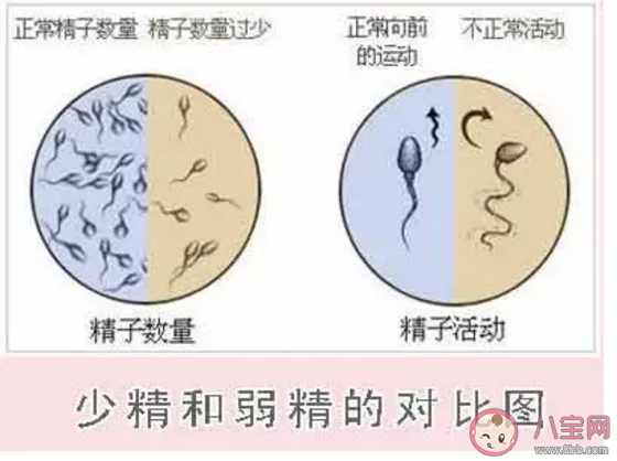 弱精癥還能懷孕嗎 弱精癥有辦法懷上小孩嗎 弱精癥還能懷孕嗎 弱精癥有辦法懷上小孩嗎