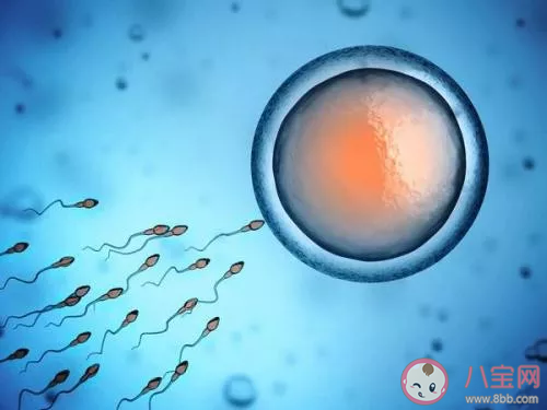 弱精癥可以治愈嗎 弱精癥還能不能恢復 弱精癥可以治愈嗎 弱精癥還能不能恢復