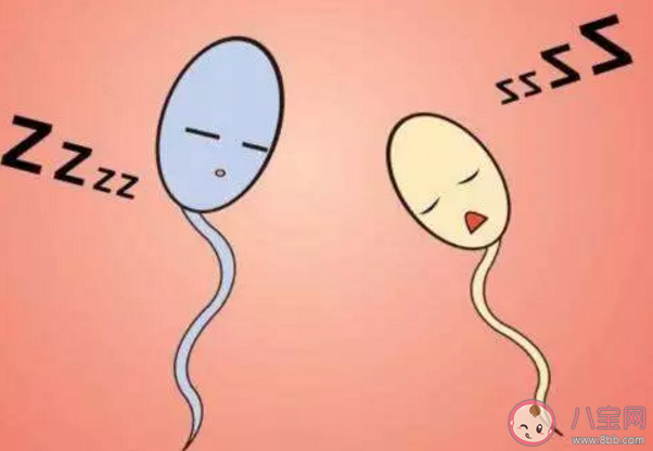 弱精癥可以治愈嗎 弱精癥還能不能恢復 弱精癥可以治愈嗎 弱精癥還能不能恢復