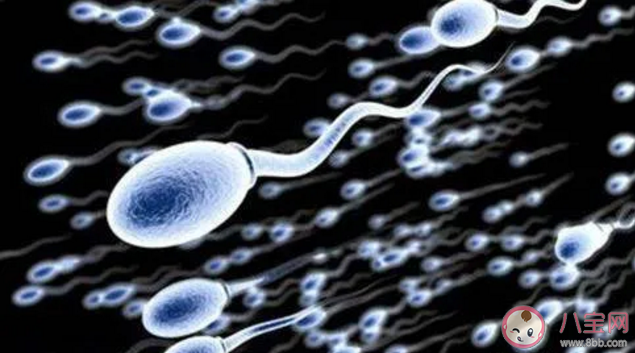 什么人容易得弱精癥 什么情況可能是得弱精癥了