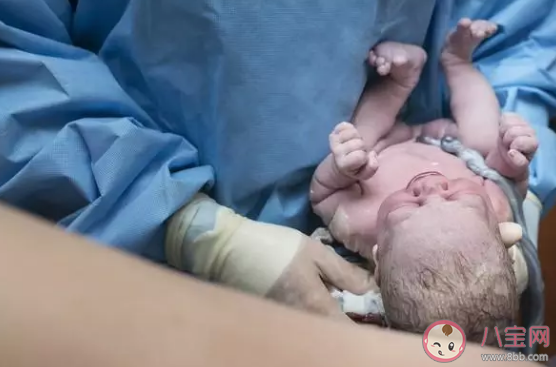 剪臍帶時(shí)寶寶會(huì)疼嗎  剪臍帶寶寶為什么會(huì)大哭