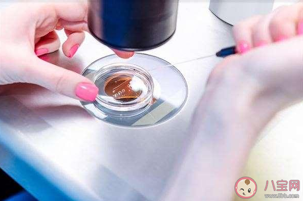 做試管嬰兒能一次性成功嗎 試管嬰兒要做幾次才能成功 做試管嬰兒能一次性成功嗎 試管嬰兒要做幾次才能成功