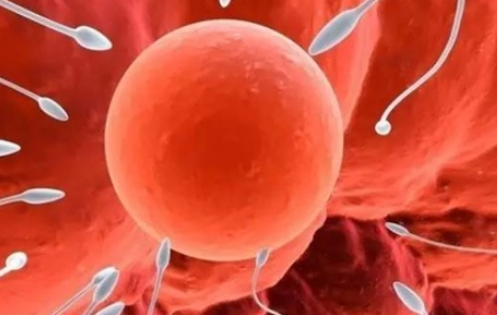 精子畸形會(huì)造成胎兒畸形嗎 精子畸形率高怎么辦