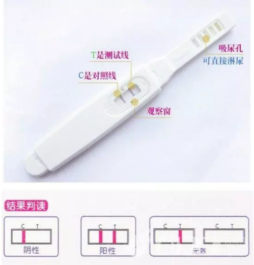 驗孕棒一定要用晨尿嗎 驗孕棒怎么使用圖解法 驗孕棒一定要用晨尿嗎 驗孕棒怎么使用圖解法