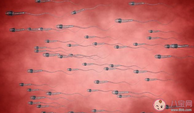 精子精子是什么原因 精子畸形率高怎么辦